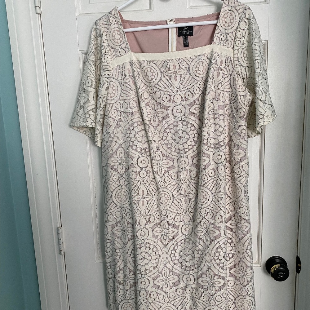 Adrianna Papell Shift Dress - Size 14W